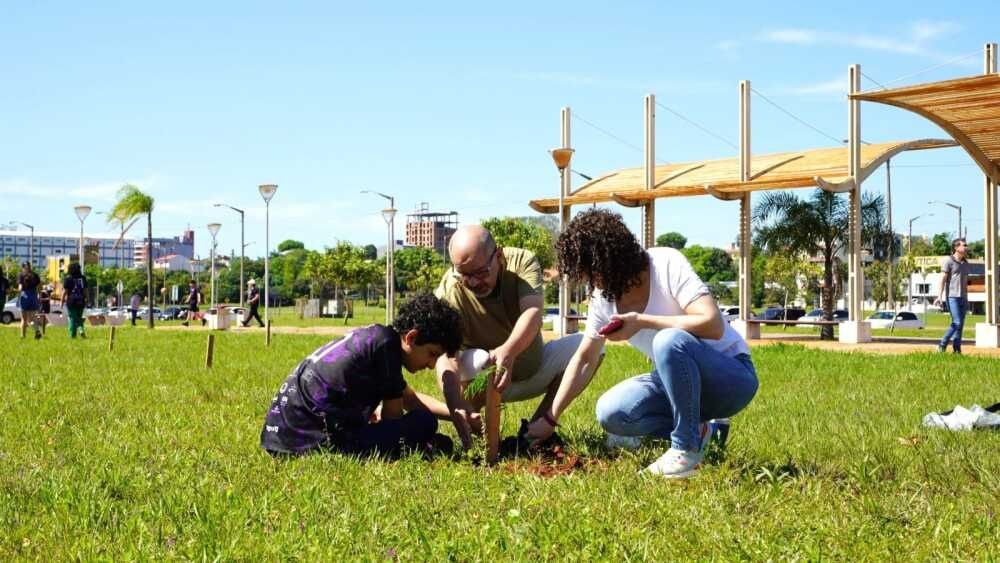 Con 400 árboles de especies nativas, amplían área reforestada en Costanera de Encarnación