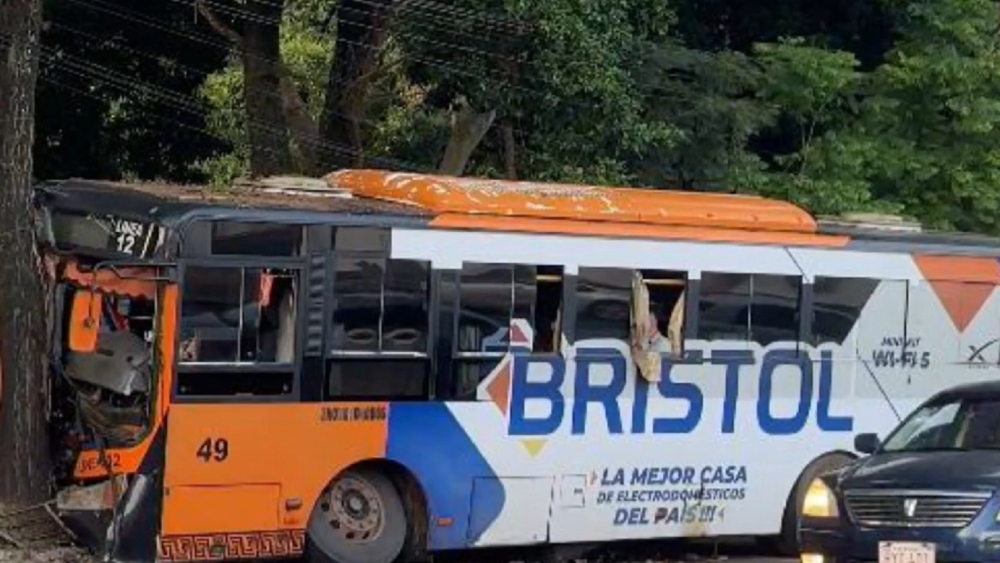 Colectivo sufre falla mecánica, choca contra árbol y deja varios ...