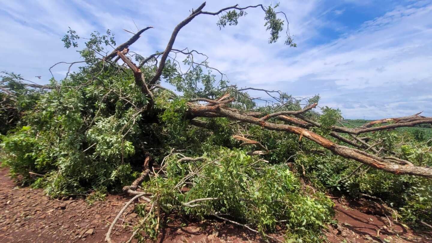 Los daños causados por el tornado en Santa Rosa La